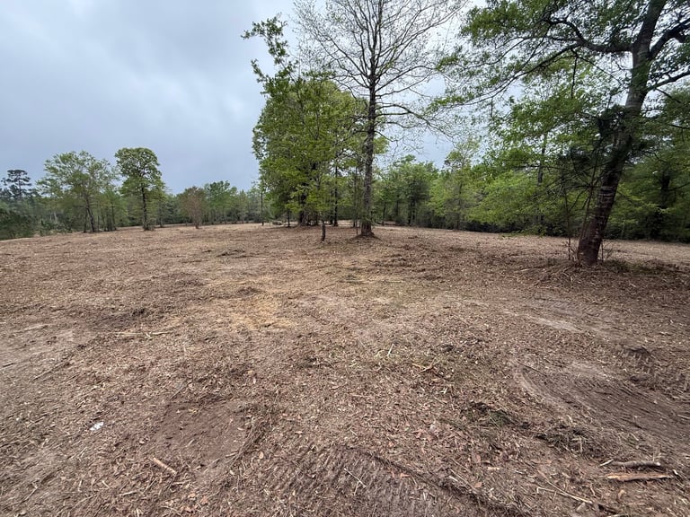 Plowed dirt field with scattered trees under an overcast sky