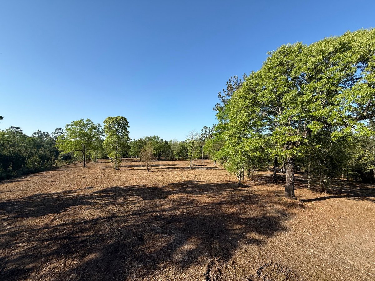 Rural paddock with scattered trees, wooden fence, and reddish-brown soil under clear blue sky