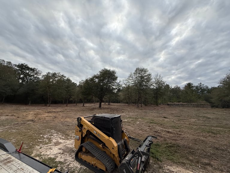 Yellow and black skid steer loader parked on cleared land with scattered trees under dramatic cloudy sky